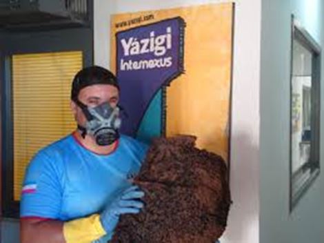 Empresa de Dedetização